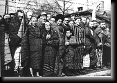 Auschwitz concentration camp prisoners after liberation. Liberation Chronicle, 1945. * 760 x 529 * (84KB)